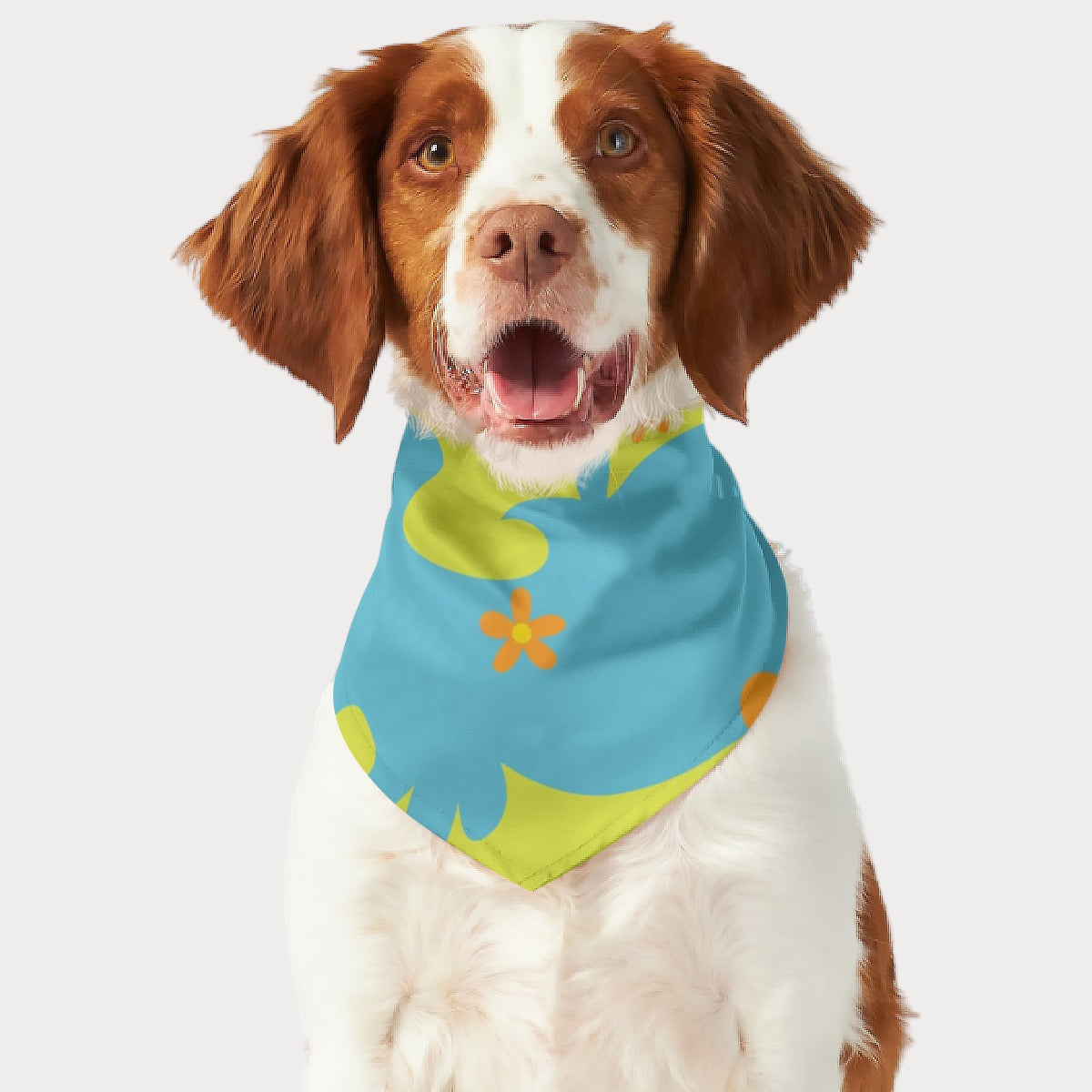 STAY TRUE™ x Central Bark™ Scooby Doo Pet Scarf